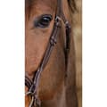 Miniatyrbillede 3 af 4: Norton Equestrian Grime Miss Brun Pony