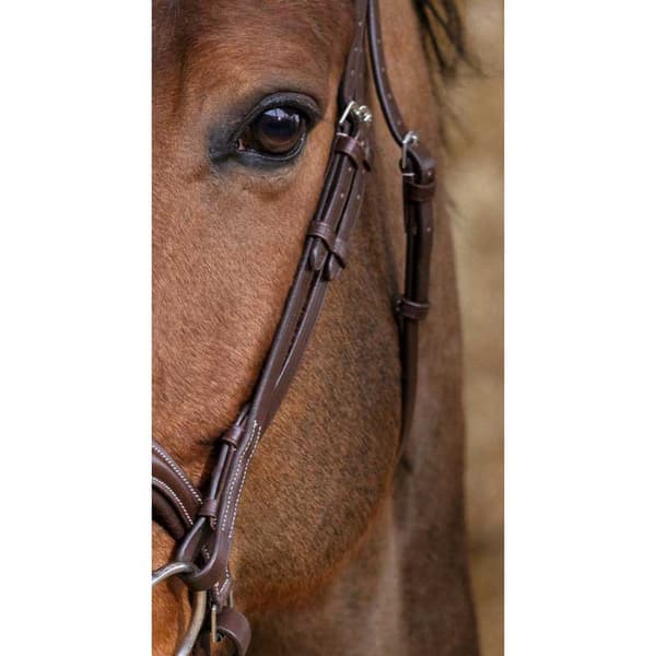 Norton Equestrian Grime Miss Brun Pony