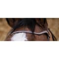 Miniatyrbillede 4 af 4: Norton Equestrian Grime Miss Brun Pony