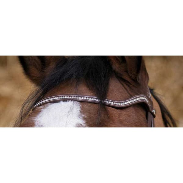 Norton Equestrian Grime Miss Brun Pony