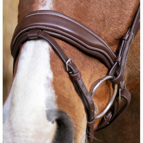 Norton Equestrian Grime Miss Brun Pony