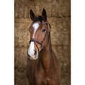 Miniatyrbillede 1 af 4: Norton Equestrian Grime Miss Brun Pony