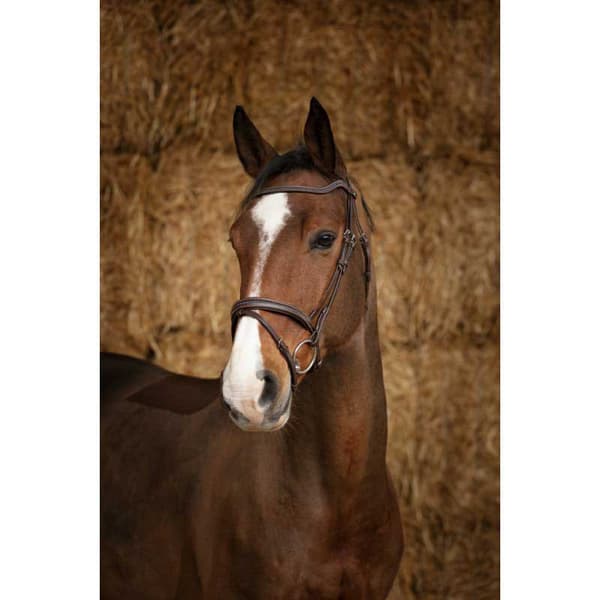 Norton Equestrian Grimma Perle Brun Full