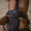 Miniatyrbillede 3 af 3: Norton Equestrian Grime Rock Brun Full