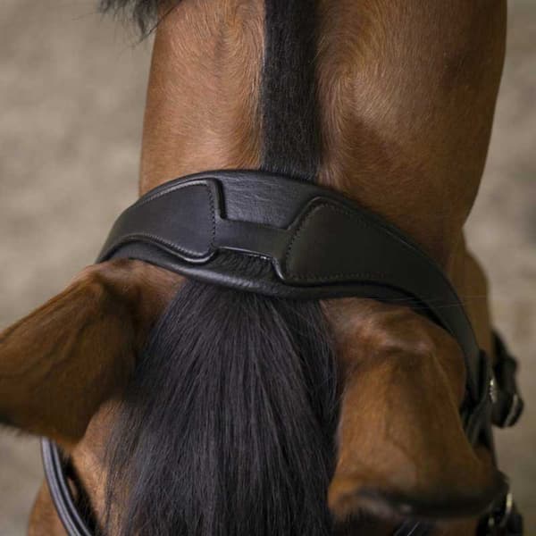 Norton Equestrian Grime Rock Brun Full