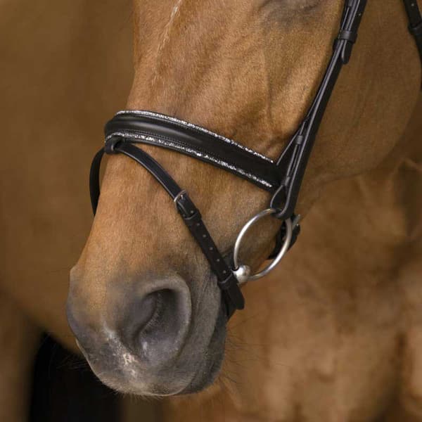 Norton Equestrian Grime Rock Brun Full