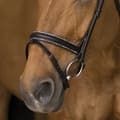 Miniatyrbillede 2 af 3: Norton Equestrian Grime Rock Brun Full