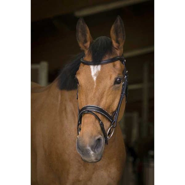 Norton Equestrian Grime Rock Brun Full