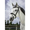 Miniatyrbild 1 av 5: Norton Equestrian Grimma Soft Grå Cob