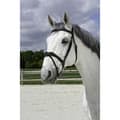 Miniatyrbild 1 av 2: Norton Equestrian Grimma Vague Grå Cob