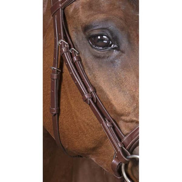 Norton Equestrian Riimu Vague Ruskea Cob