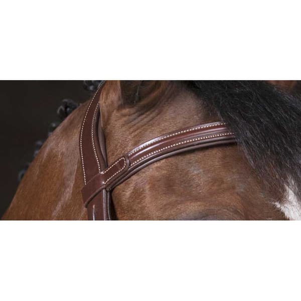 Norton Equestrian Grime Vague Brun Cob