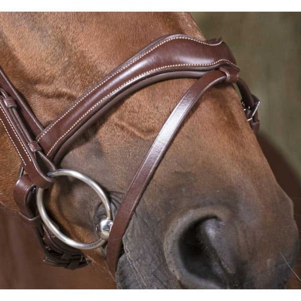Norton Equestrian Grime Vague Brun Cob