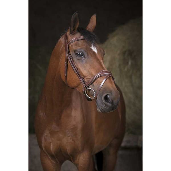 Norton Equestrian Grime Vague Brun Cob