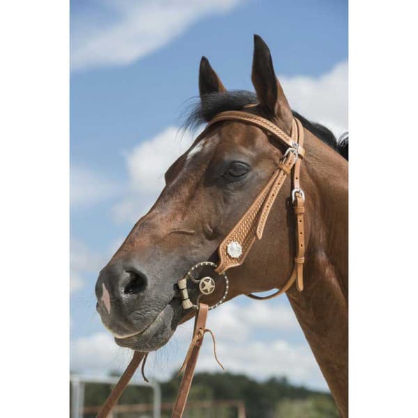 Westride Suitset Aurora Ruskea