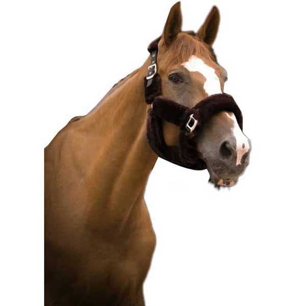 Equitheme Grimma Teddy Grönt Pony