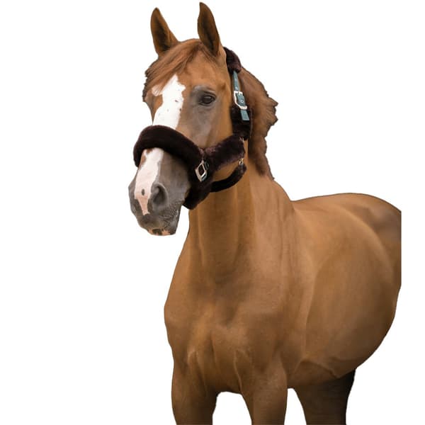 Equitheme Grimma Teddy Brun Full