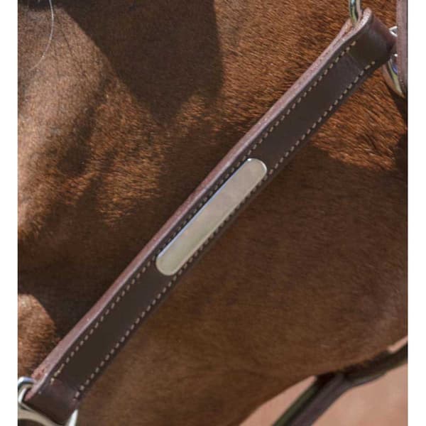 Norton Equestrian Lädergrimma Grooming Brun Cob