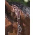 Miniatyrbild 4 av 4: Norton Equestrian Lädergrimma Grooming Brun Cob