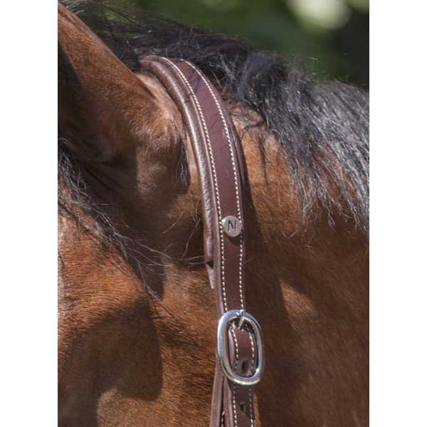 Norton Equestrian Lädergrimma Grooming Brun Cob