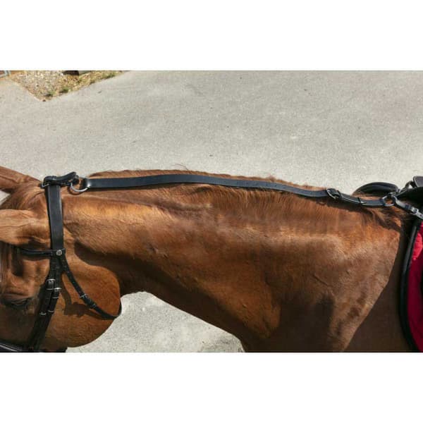 Norton Equestrian Anti Roll Rund Chambon Brun Full