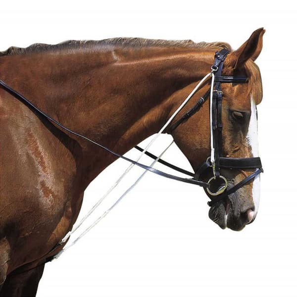 Norton Equestrian Chambon Remskivor Brun Full