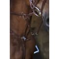 Miniatyrbild 3 av 3: Norton Equestrian Bröstskydd Med Martingale Hunting Silver Full