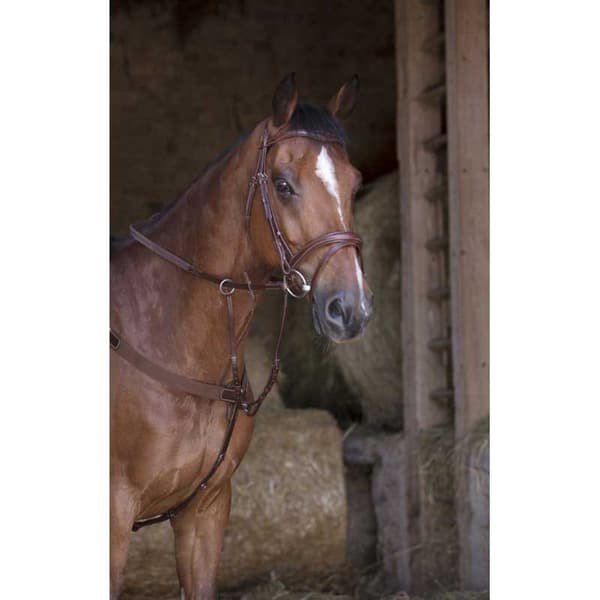 Norton Equestrian Elastisk Brystplade Hunting Søvfarvet Cob