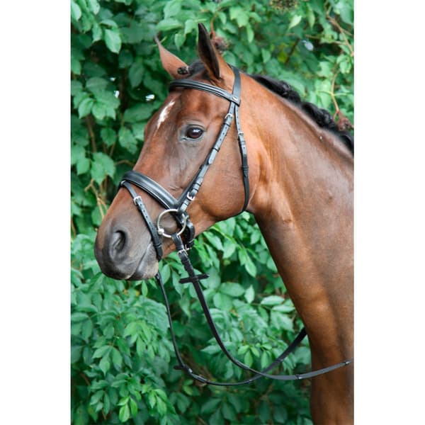 Horka Trense Caran Sort Pony
