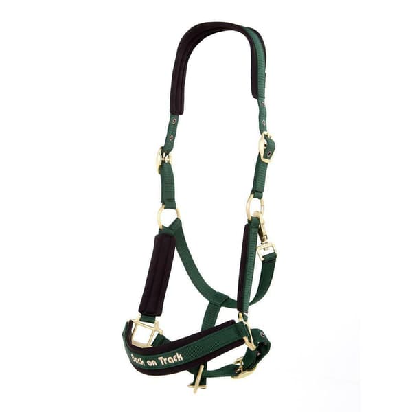 Back On Track Halter Werano Grøn 16.5´´