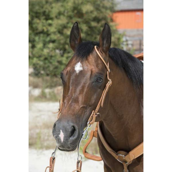 Westride Suitset 1 Ear Ruskea