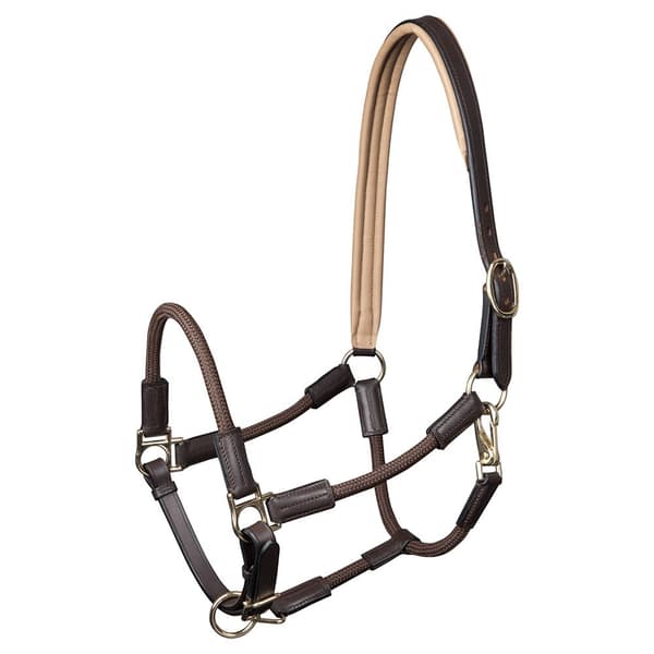 Waldhausen Grimma Nevada Guld Pony