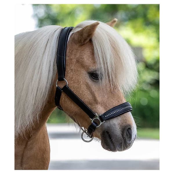 Star Grime Leather Diamond Søvfarvet Pony