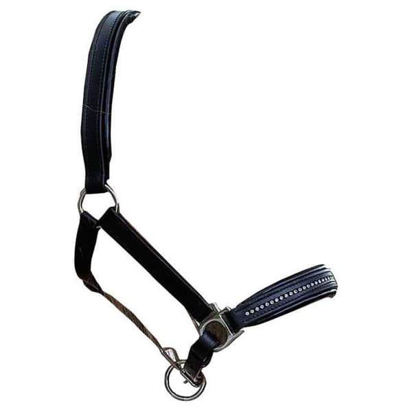 Star Grime Leather Diamond Søvfarvet Pony