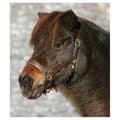 Miniatyrbillede 2 af 2: Star Grime Leather Diamond Gylden Pony