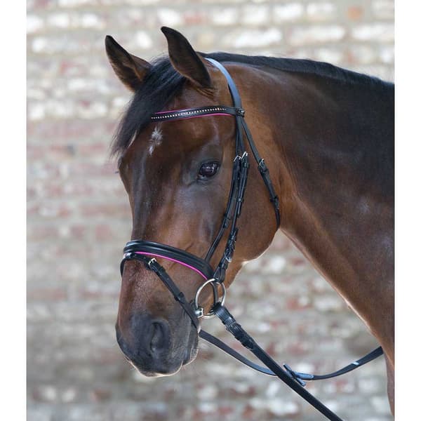 Star Tygla Diamant Brun Mini Shetland