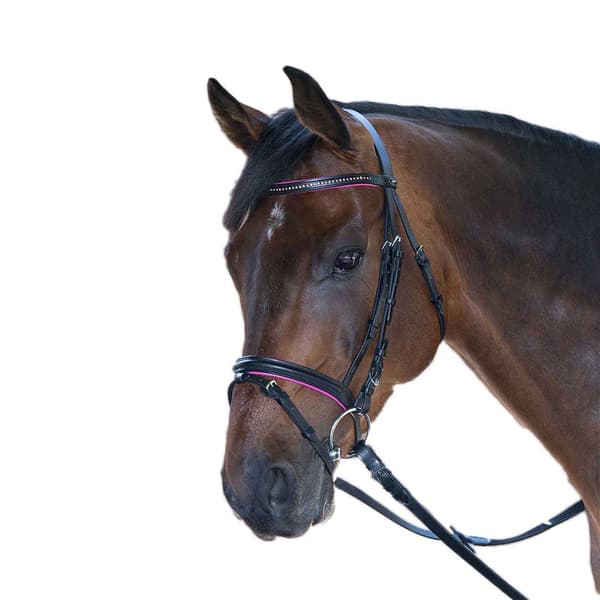 Star Tygla Diamant Brun Mini Shetland