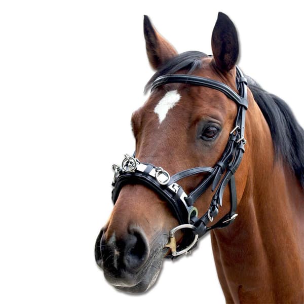 Waldhausen Halter & Lead Leather Søvfarvet Full