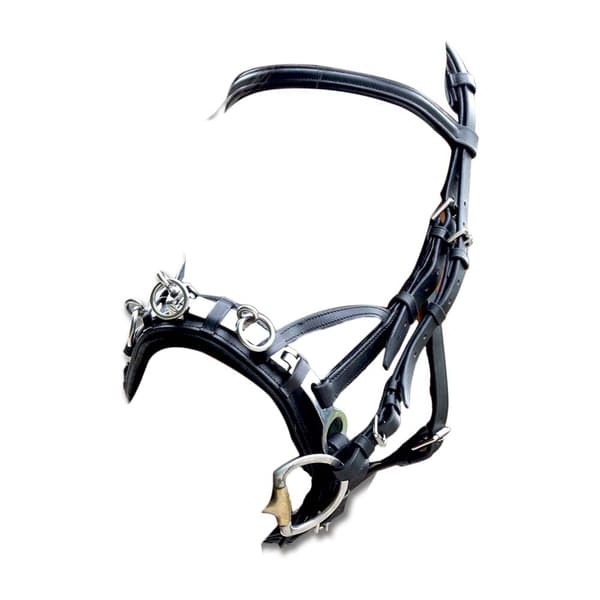 Waldhausen Halter & Lead Leather Søvfarvet Full