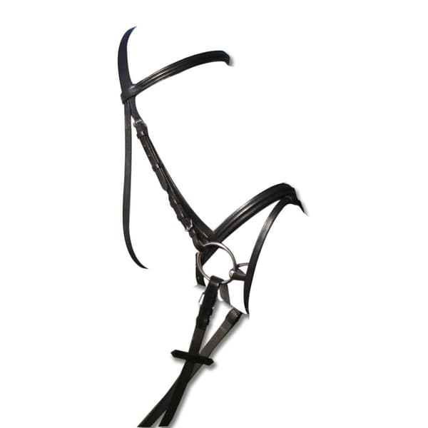 Star Tygla Lifestyle Silver Cob