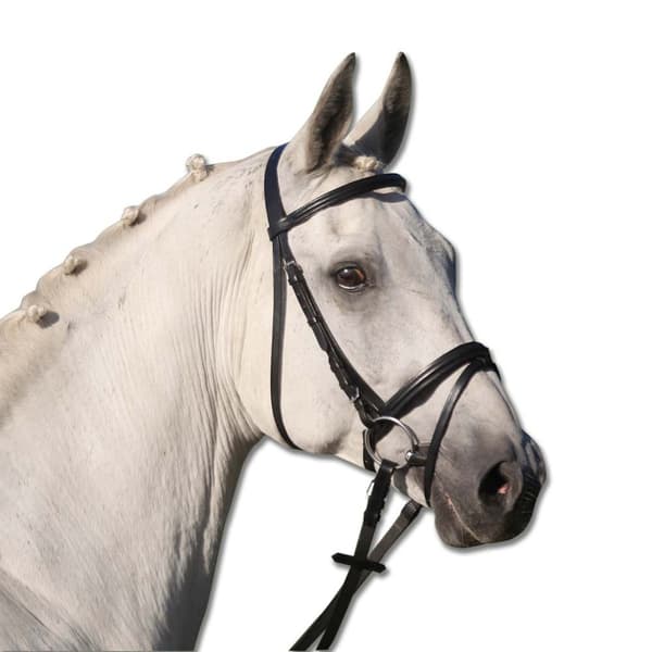 Star Trense Lifestyle Søvfarvet Full