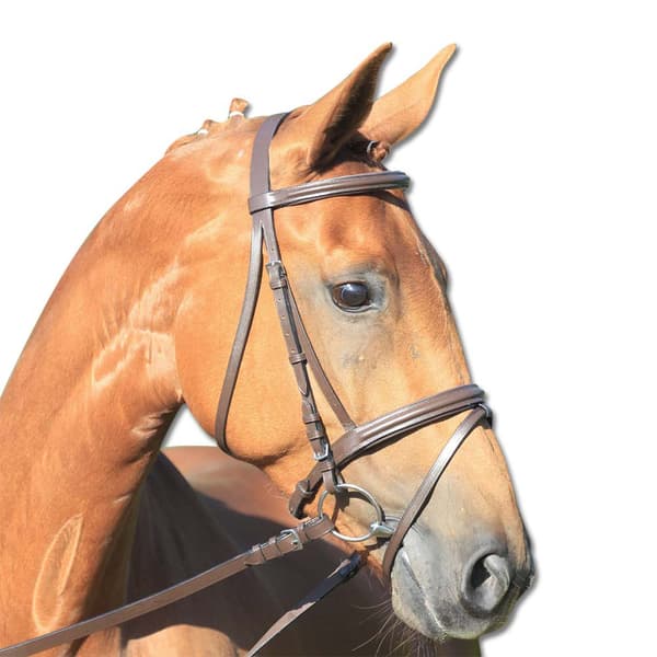 Star Suitset Lifestyle Kultainen Full