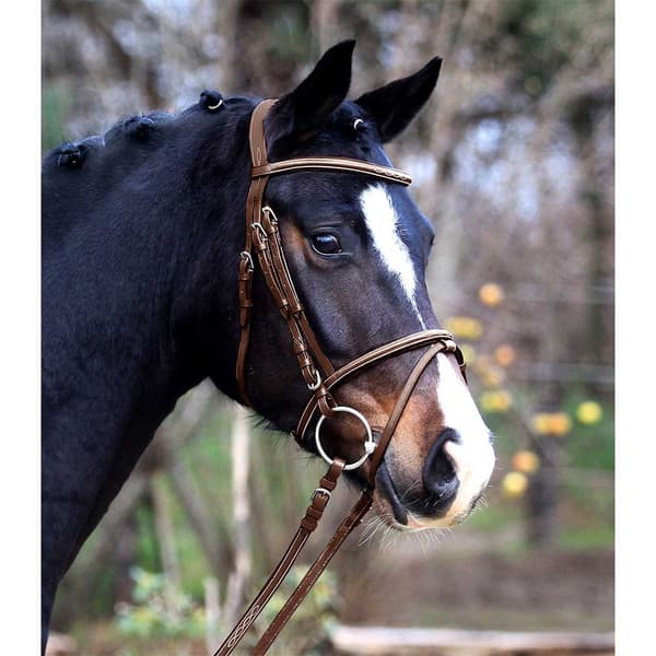 Waldhausen Trense X-line Santander Brun Cob