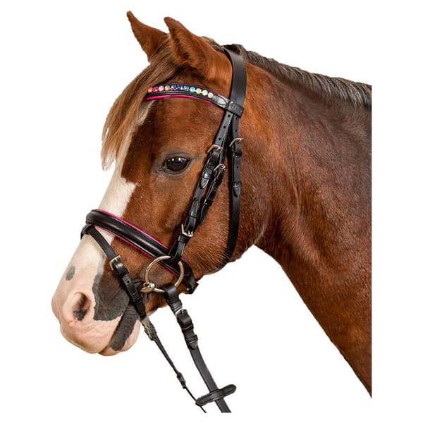 Star Tygla Pinky Combined Noseband Brun Mini Shetland