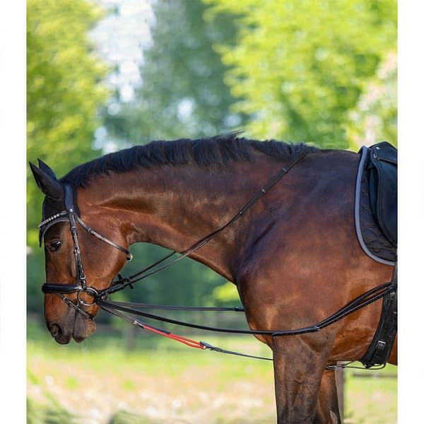 Waldhausen Ohjakset Draw Ruskea Cob