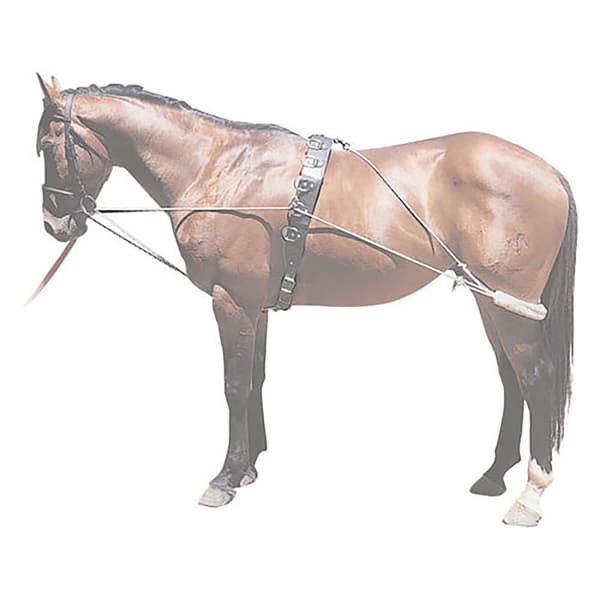 Pessoa Kouluratsastuksen Apuväline Kultainen Pony