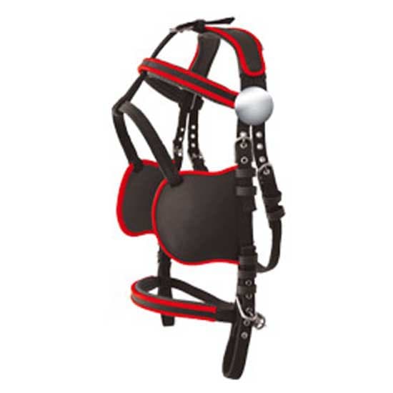 Lexhis Valjaat Suitset Hanover Musta Cob
