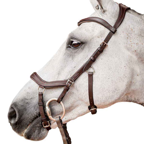 Horseware Tygla Inglesa Micklem 2 Competition Brun Full