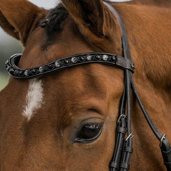 Horka Trense Flamingo Sort Pony