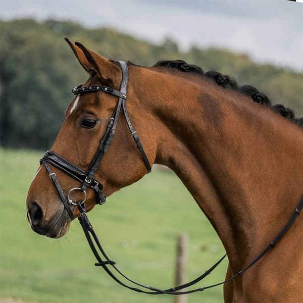 Horka Trense Flamingo Sort Pony